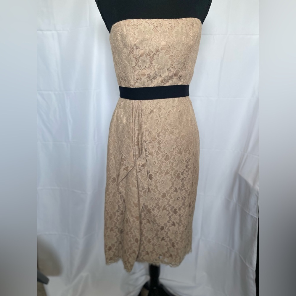 BCBGMAXAZRIA dress, size 8, color tan and black